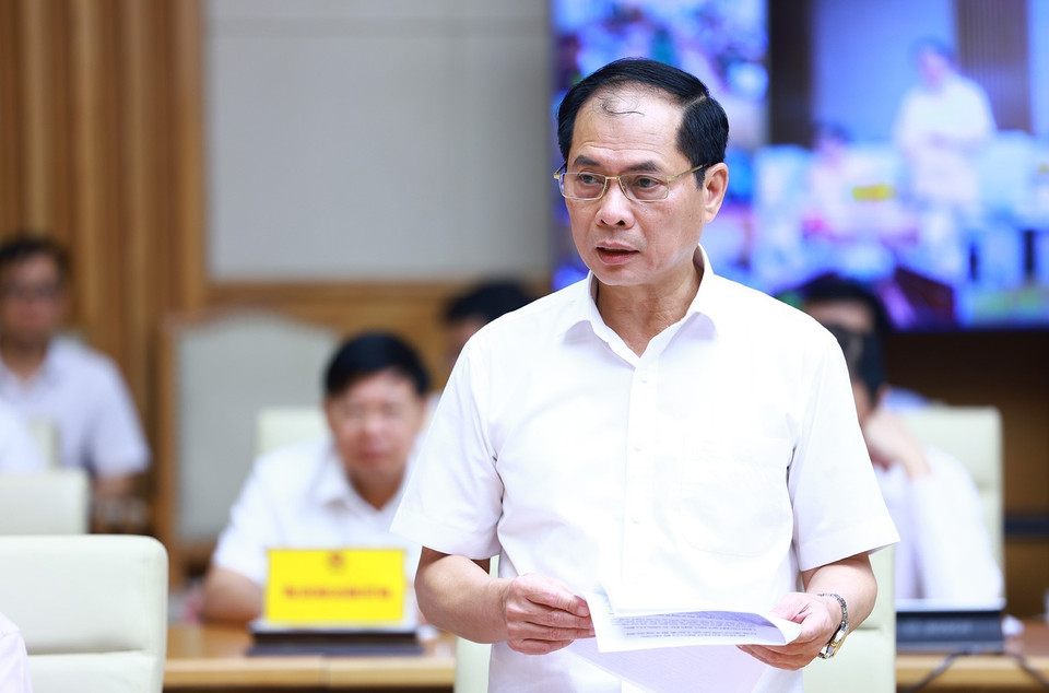 Bộ trưởng Bộ Ngoại giao Bùi Thanh Sơn phát biểu. (Ảnh: Dương Giang/TTXVN)