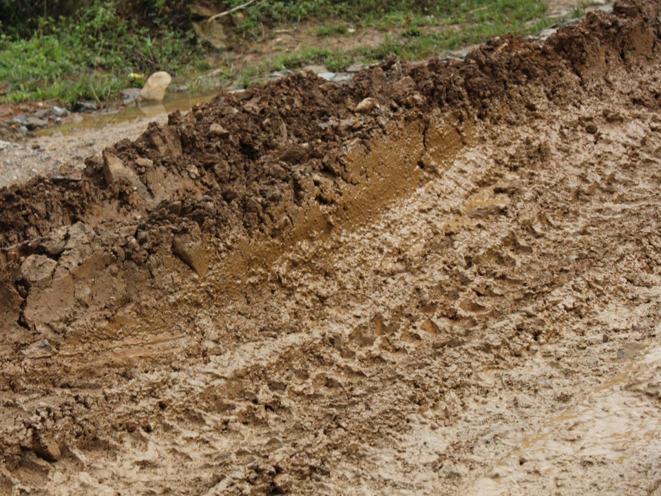 (Ảnh: Mai Mạnh/Vietnam+)