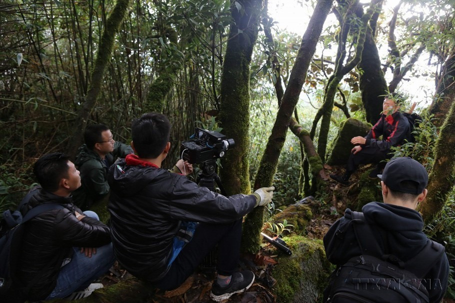 Phóng viên TTXVN tác nghiệp tại hiện trường về hoạt động bảo vệ rừng. (Nguồn: TTXVN)