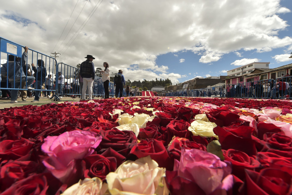 Du khách ngắm Kim tự tháp làm từ hoa hồng tại thị trấn Tabacundo. (Ảnh: AFP/TTXVN)