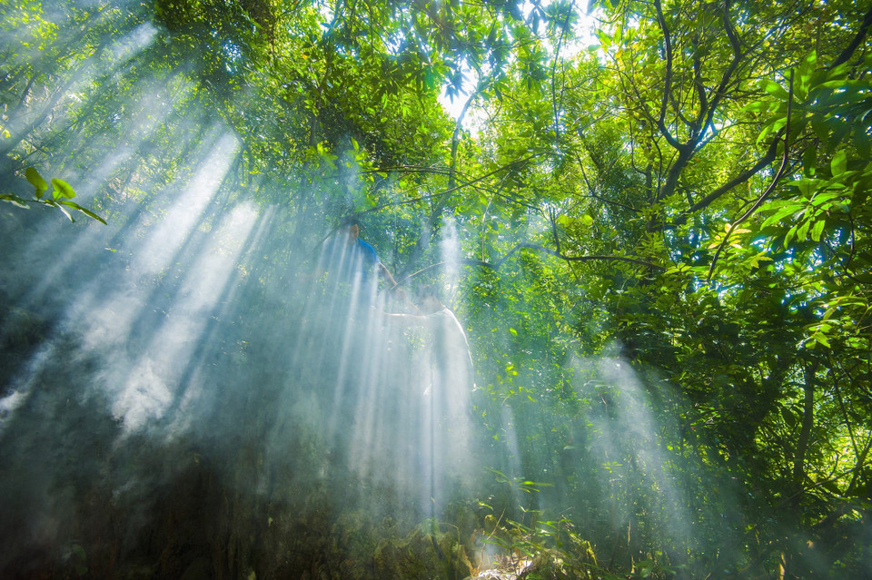 Để đến được động phải vượt qua chặng đường rừng khá dài với những dãy núi cao. (Ảnh: Minh Đức/TTXVN)