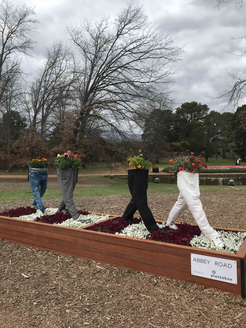 Đến với Lễ hội hoa năm nay, du khách được thỏa sức ngắm nhìn những cánh rừng hoa tulip, cúc, thủy tiên, dạ hương lan, diên vĩ, violet…đủ màu sắc tỏa hương thơm ngát.