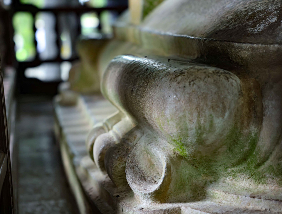 Trên thực tế và các hình tượng về loài rùa bàn chân chỉ có 5 móng, nhưng rùa đội bia Vĩnh Lăng lại có 6 móng (5 móng nổi và 1 móng đục lõm). (Ảnh: Thanh Tùng/TTXVN)