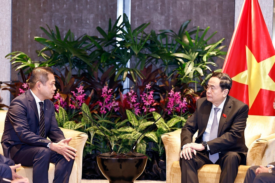 Chủ tịch Quốc hội Trần Thanh Mẫn tiếp ông Kevin Chng, Giám đốc Tài chính Tập đoàn Keppel. (Ảnh: Doãn Tấn/TTXVN)