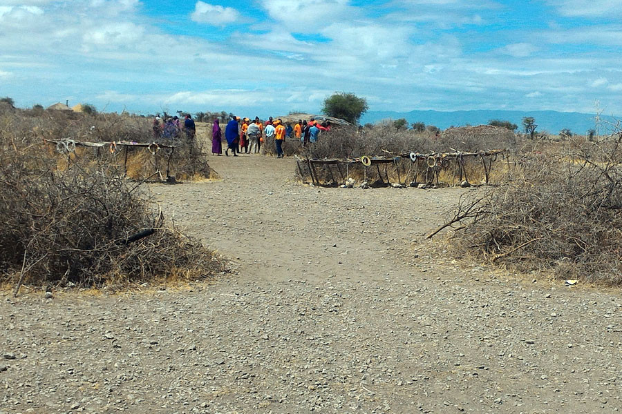 Ngôi làng của người Maasai có hai lớp bảo vệ. Sau lớp rào bên ngoài là những ngôi nhà nhỏ lúp xúp; lớp hàng rào bên trong bảo vệ gia súc. (Ảnh: T.H/Vietnam+)