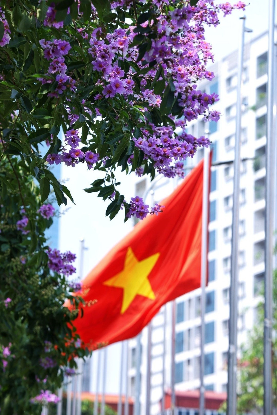 Tháng 5 rực rỡ cờ hoa trên các con phố của Hà Nội. (Ảnh: Tuấn Anh/TTXVN)