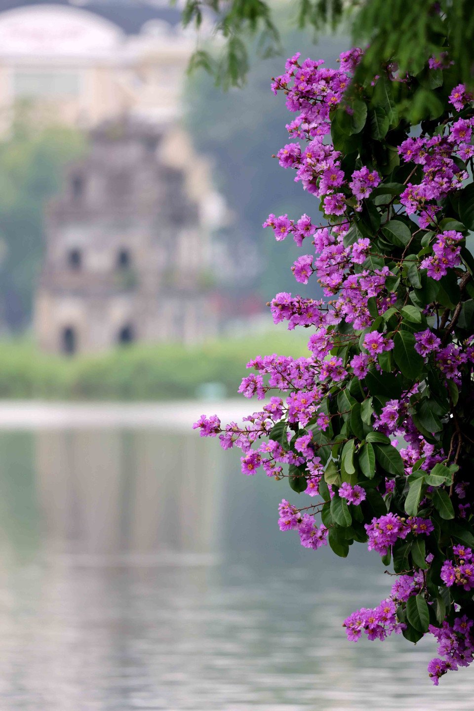 Hồ Gươm với không gian thơ mộng như níu chân du khách xa gần. (Ảnh: Nhật Anh/ TTXVN)