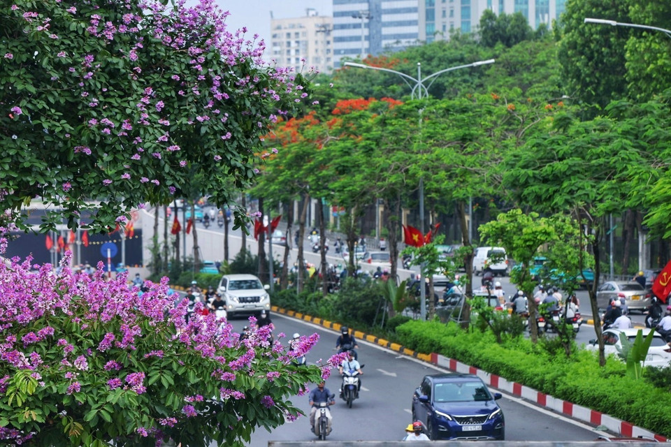 Hà Nội khoác tấm áo mới mỗi khi hè về. (Ảnh: Tuấn Anh/TTXVN)