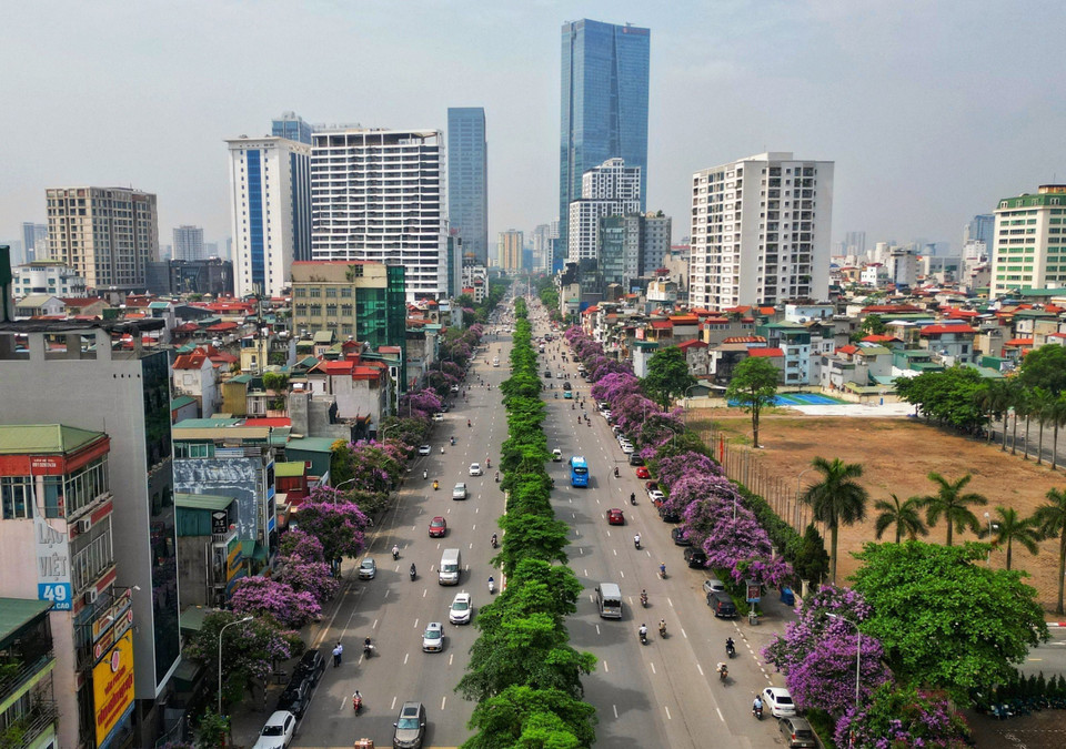 Phố Văn Cao trải dài sắc tím bằng lăng. (Ảnh: Tuấn Anh/ TTXVN)