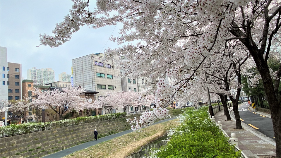 (Ảnh: Anh Nguyên/Vietnam+)