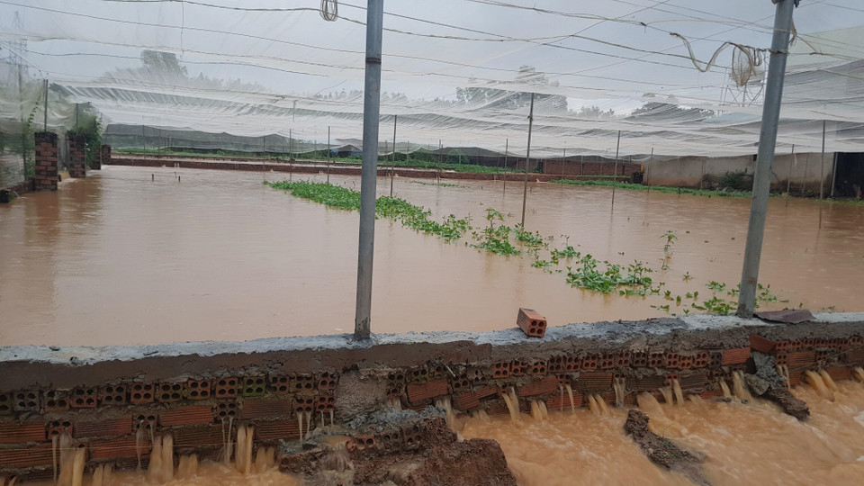 Có nơi ngập sâu trong nước từ 0,5-1,7m. (Ảnh: Đậu Tất Thành/TTXVN)