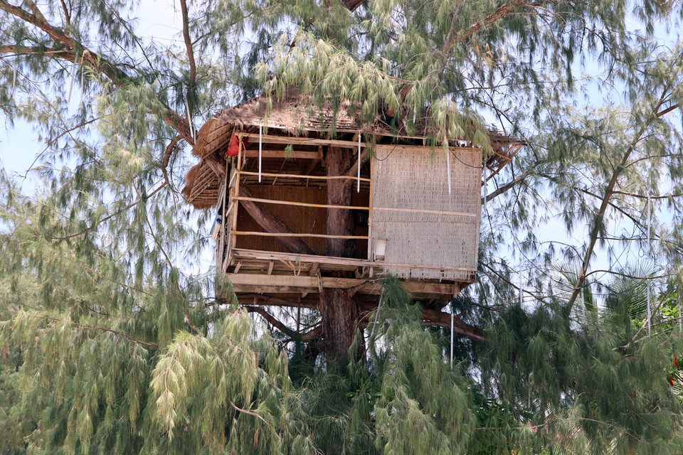 Một chiếc chòi trên cây được khu nghỉ dưỡng lập ra phục vụ du khách.