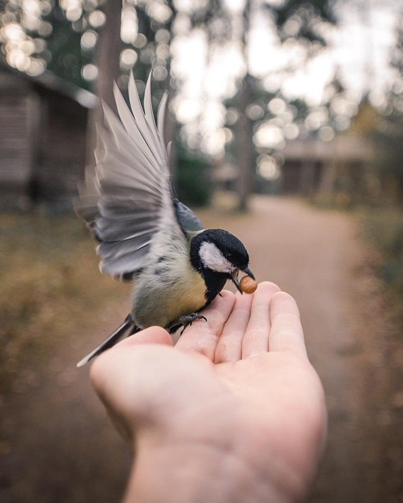Bữa sáng bé nhỏ. (Nguồn: Sputnik)