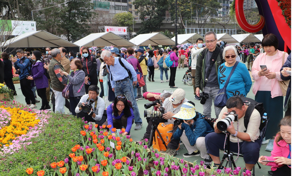 Khách tham quan chụp ảnh hoa Tulip trưng bày tại triển lãm. (Ảnh: Xuân Vịnh/TTXVN)