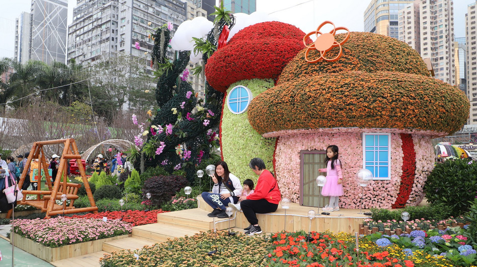 Đông đảo người dân và du khách đến thưởng ngoạn và chụp ảnh.. (Ảnh: Xuân Vịnh/TTXVN)