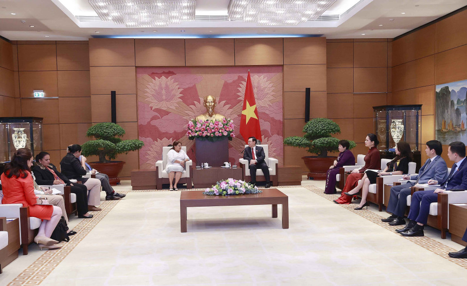 Quang cảnh buổi tiếp. (Ảnh: Doãn Tấn/TTXVN)