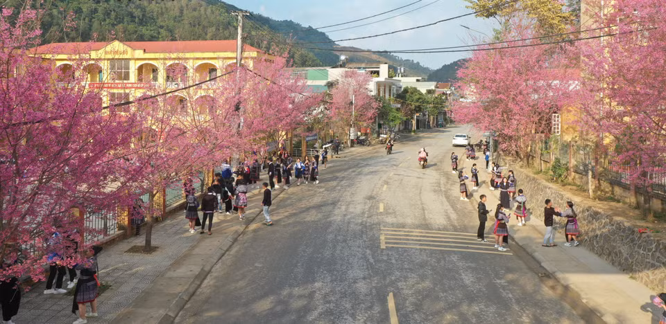 Hoa Tớ Dày nở cũng là lúc những chàng trai, cô gái Mông xúng xính trong bộ váy mới cùng nhau đi du Xuân. (Ảnh: Tuấn Anh/TTXVN)