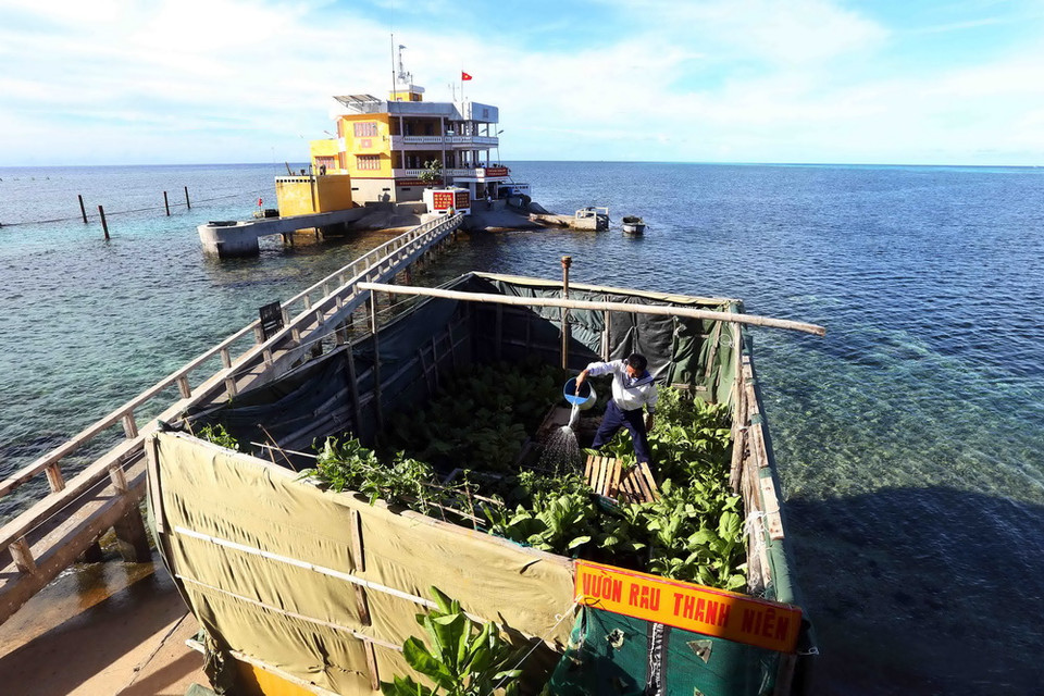 Vườn rau xanh để nâng cao chất lượng bữa ăn hàng ngày của chiến sỹ đảo Thuyền Chài B. (Ảnh: Quang Quyết/TTXVN)