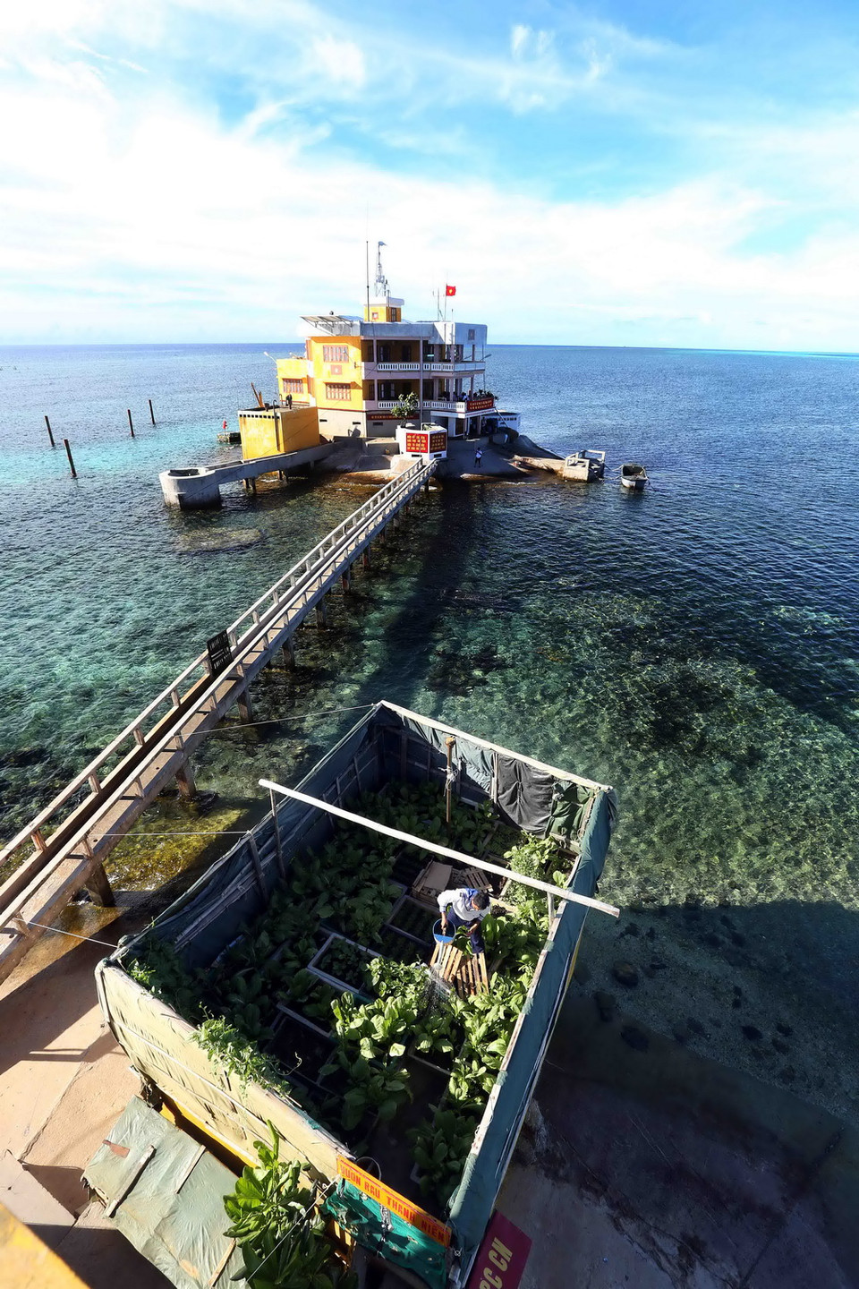 Vườn rau xanh để nâng cao chất lượng bữa ăn hàng ngày của chiến sỹ đảo Thuyền Chài B. (Ảnh: Quang Quyết/TTXVN)