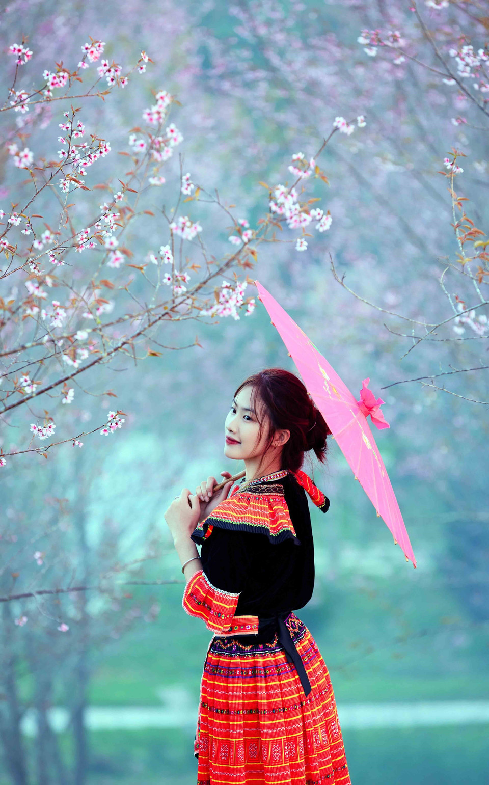 Sắc hoa rực rỡ thu hút khách du lịch đến tham quan, chụp ảnh lưu niệm. (Ảnh: Quang Quyết/TTXVN