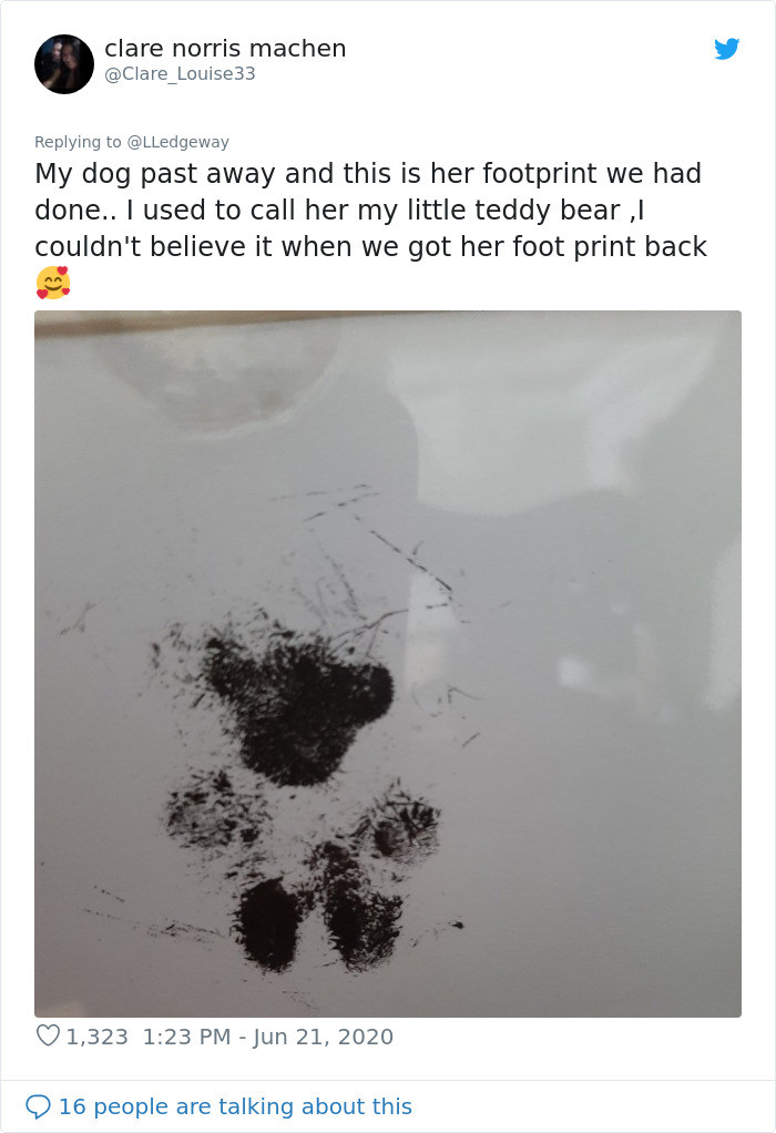 Khi chó cưng của tôi qua đời, chúng tôi đã in dấu bàn chân của nó. Tôi thường gọi nó là gấu teddy bé nhỏ, và tôi không thể tin được vào mắt mình khi nhìn vào dấu chân của nó. (Nguồn: Boredpanda)