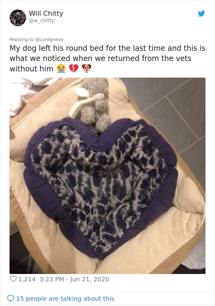 Chú chó cưng của tôi đã rời khỏi chiếc giường tròn của nó để ra đi mãi mãi. Và khi trở về sau cuộc chia ly, tôi nhận ra đây là hình dáng chiếc giường nó đã để lại. (Nguồn: Boredpanda)
