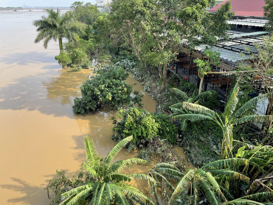 Nước sông Hồng đang rút (ảnh chụp 8h15, ngày 13/9/2024). (Ảnh: Minh Quyết/TTXVN)