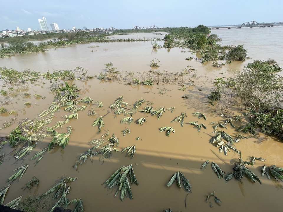 Nước sông Hồng đang rút, bãi giữa sông dần "hiện hình" trở lại sau nhiều ngày chìm trong nước (ảnh chụp 8h15, ngày 13/9/2024). (Ảnh: Minh Quyết/TTXVN)