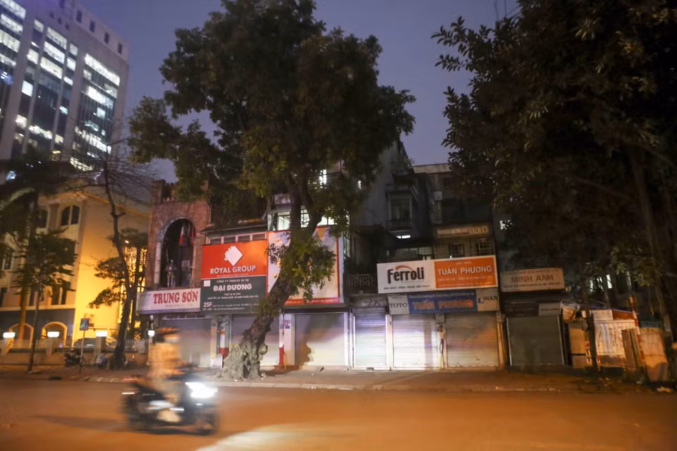Khu vực 25D Cát Linh (quận Đống Đa, Hà Nội) thuộc quản lý của Tổng Công ty Chè Việt Nam. (Ảnh: Tuấn Đức/TTXVN)