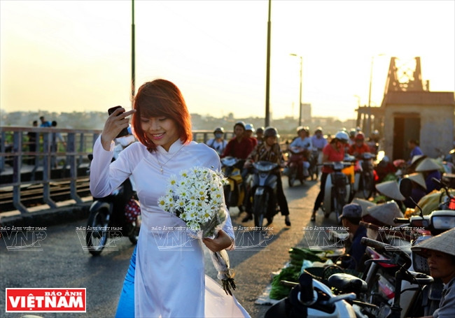 Những cánh hoa mong manh tinh khiết làm say lòng nhiều thiết nữ Hà Nội. (Ảnh: Công Đạt/Báo Ảnh Việt Nam)