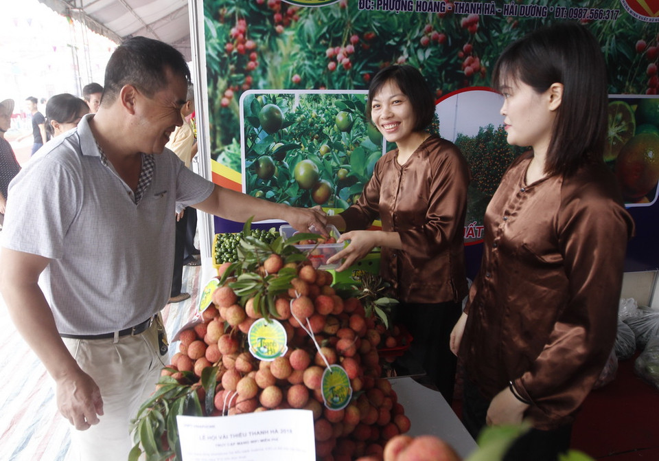 Khách tham quan gian hàng vải thiều của xã Phượng Hoàng tại lễ hội. (Ảnh: Lâm Khánh/TTXVN)