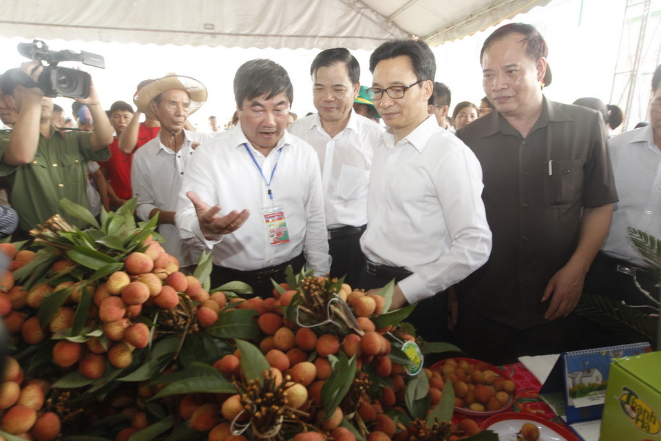 Phó Thủ tướng Vũ Đức Đam và đại biểu tham quan các gian hàng tại lễ hội. (Ảnh: Lâm Khánh/TTXVN)