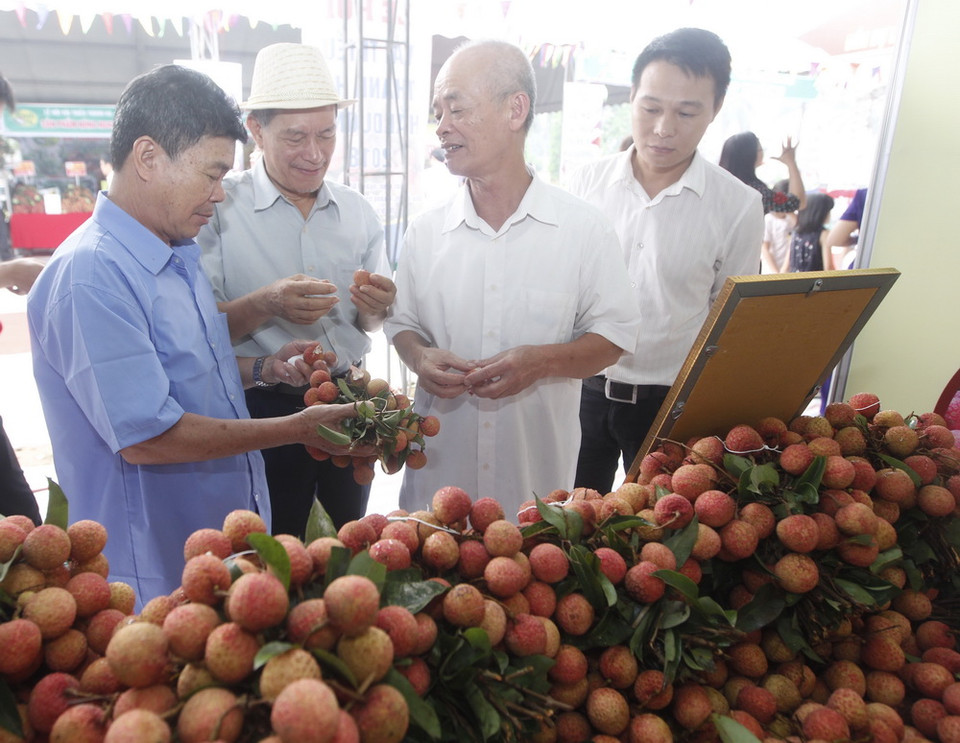Khách tham quan gian hàng vải thiều của xã Phượng Hoàng. (Ảnh: Lâm Khánh/TTXVN)