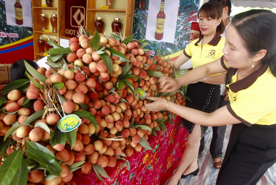 Gian hàng vải thiều của xã Thanh Bính. (Ảnh: Lâm Khánh/TTXVN)