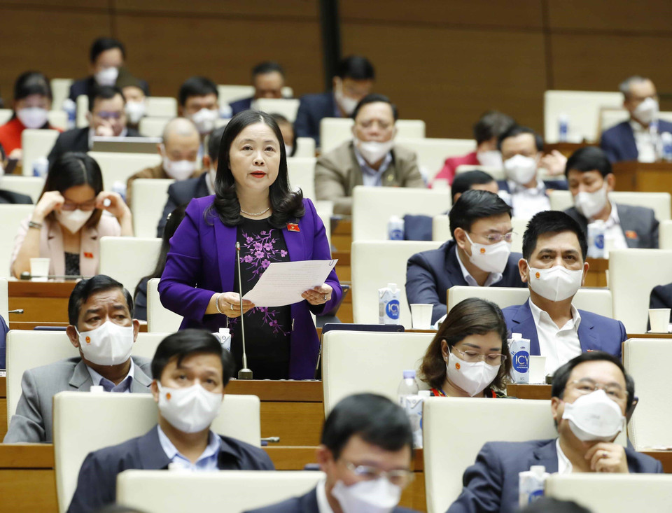 Đại biểu Quốc hội tỉnh Thái Nguyên Đoàn Thị Hảo chất vấn. (Ảnh: Phương Hoa/TTXVN)