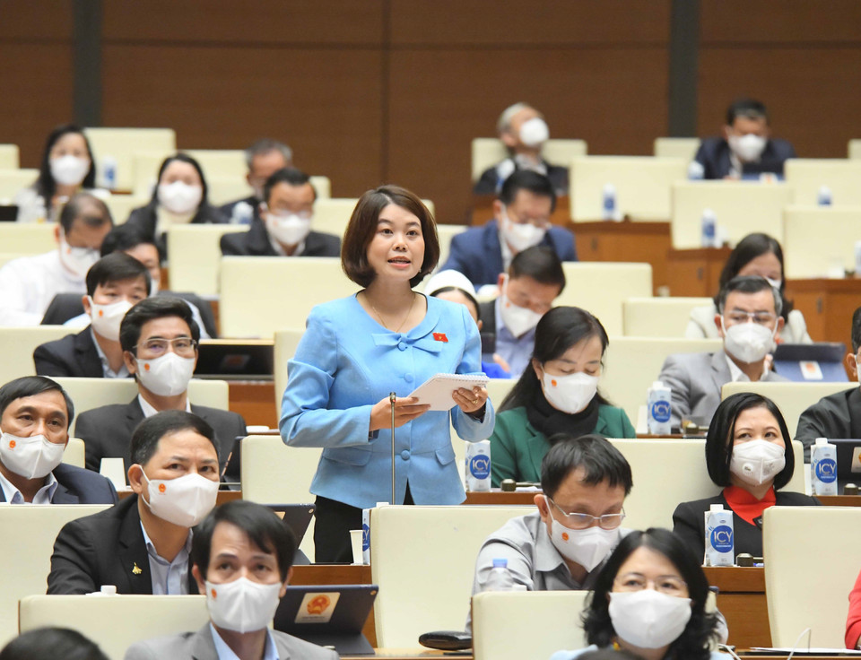 Đại biểu Quốc hội tỉnh Bắc Kạn NguyễnThị Huế chất vấn. (Ảnh: Phương Hoa/TTXVN)