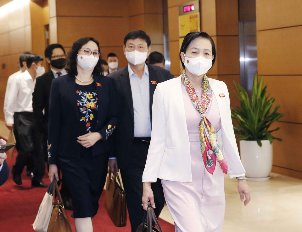 Đại biểu Quốc hội đến dự Phiên chất vấn. (Ảnh: Doãn Tấn/TTXVN)