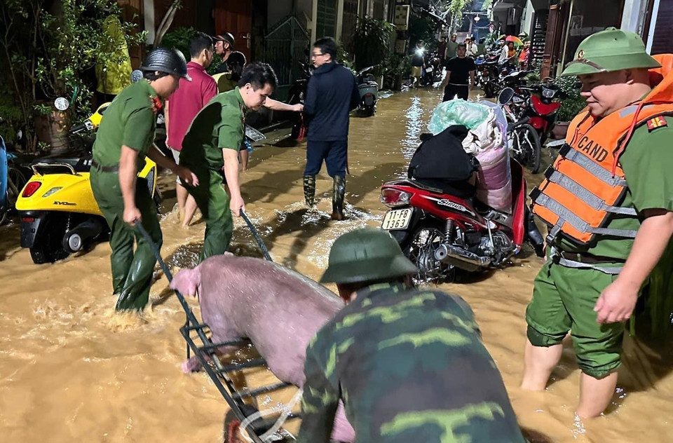 Lực lượng cứu hộ thành phố Cao Bằng giúp người dân chuyển tài sản đến nơi an toàn trong đêm 8/9. (Ảnh: TTXVN phát)