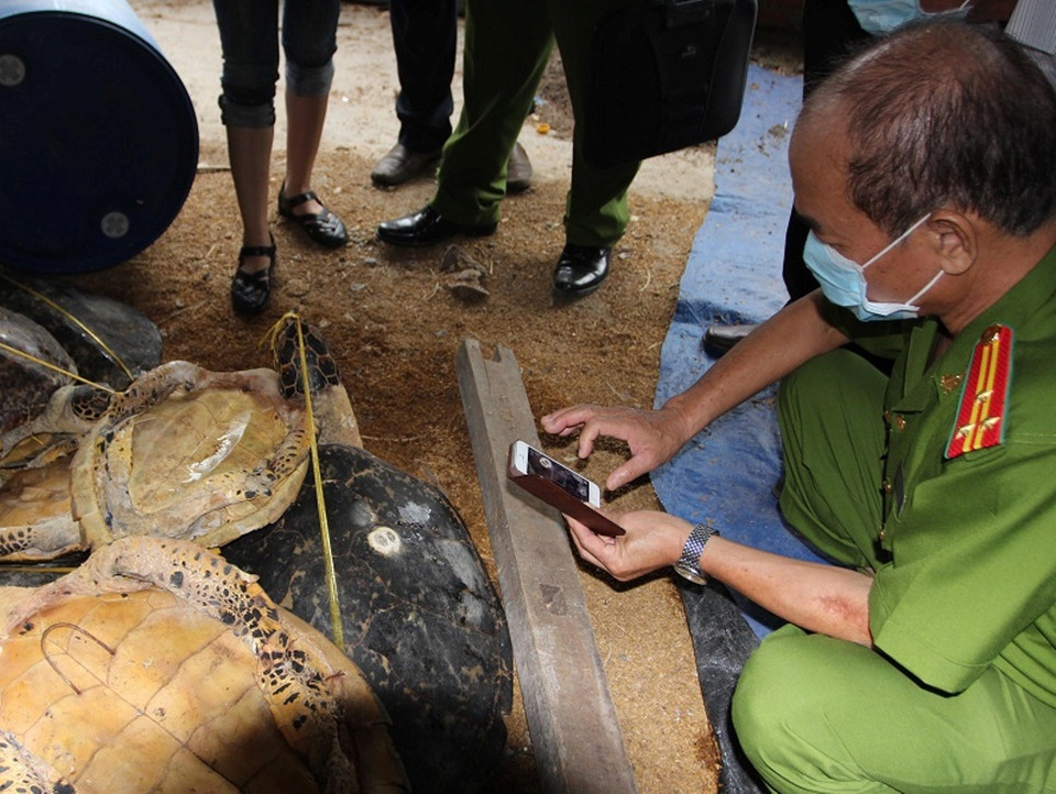 Lực lượng chức năng ghi lại vụ việc.(Ảnh: ENV)