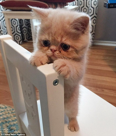 George hiện đang có hàng nghìn người theo dõi trên Facebook và Instagram. (Nguồn: Caters News Agency)