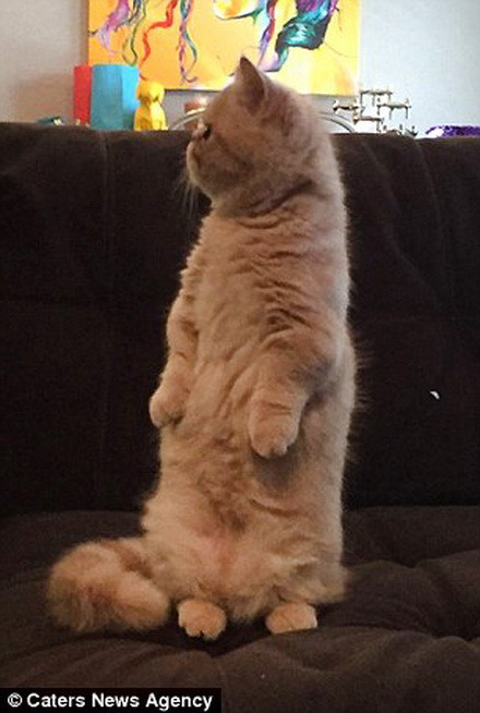 George hiện đang có hàng nghìn người theo dõi trên Facebook và Instagram. (Nguồn: Caters News Agency)