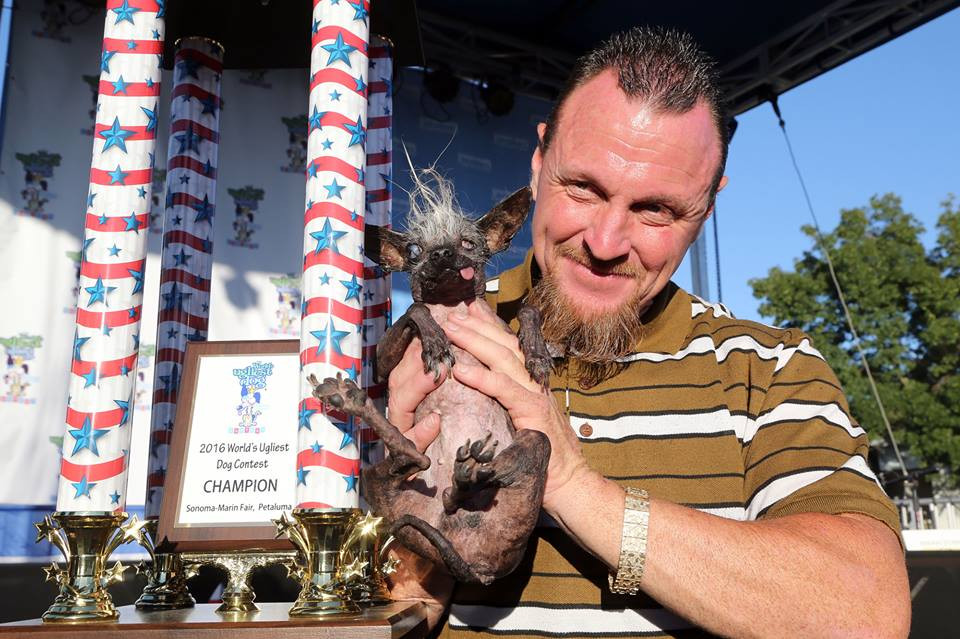 Sweepee Rambo bị mù, nặng 1,8kg, mắt phải có màu xanh dương và đã sống cùng Jason suốt 17 năm qua. (Nguồn: Getty)