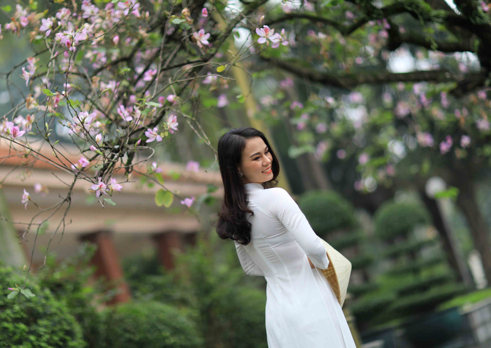 Thiếu nữ Hà Thành e ấp giữa mùa ban. (Ảnh: Nhật An/TTXVN)