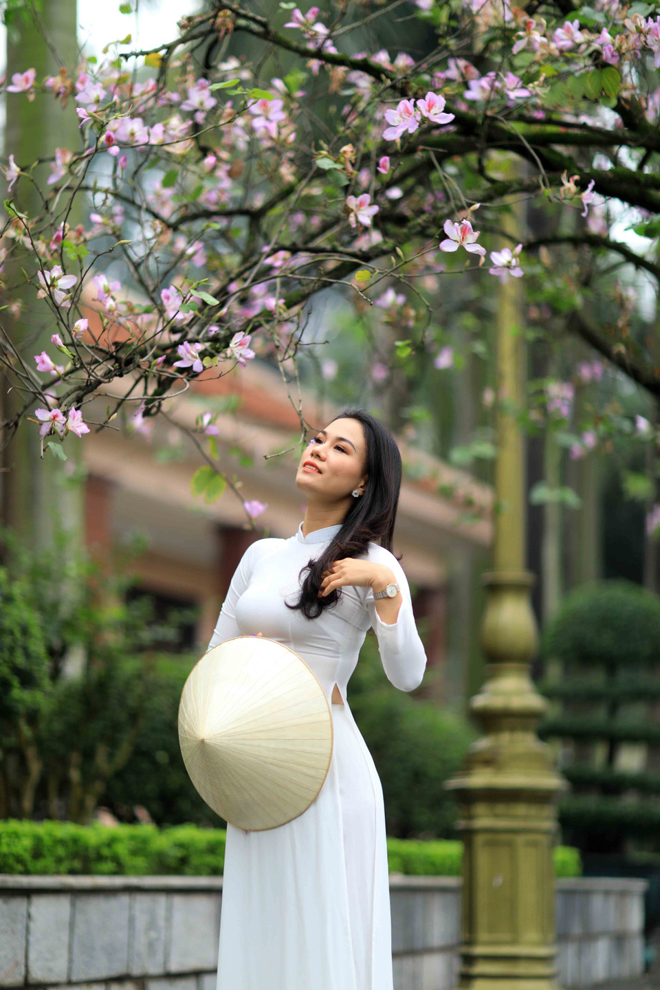 Thiếu nữ Hà Thành e ấp giữa mùa ban. (Ảnh: Nhật An/TTXVN)