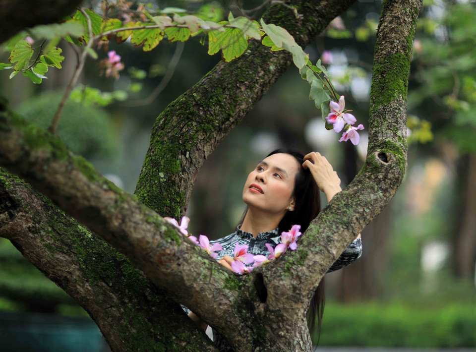 Mùa hoa ban tháng 2 luôn thu hút sự quan tâm của các bạn trẻ. (Ảnh: Nhật Anh/TTXVN)