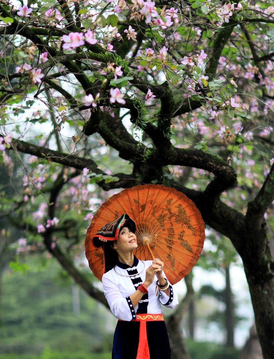 Lựa chọn trang phục dân tộc để lưu lại mùa ban ở Hà Nội. (Ảnh: Nhật Anh/TTXVN)