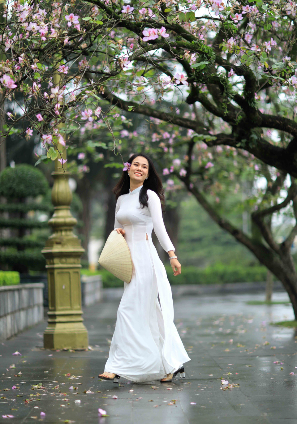 Thiếu nữ Hà Thành e ấp giữa mùa ban. (Ảnh: Nhật An/TTXVN)