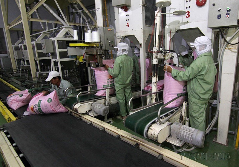 Sản lượng xuất khẩu gạo giảm dần theo từng thời kỳ, song các chỉ tiêu về gạo đặc sản, gạo chất lượng cao, sản phẩm chế biến từ gạo, tỷ lệ gạo có thương hiệu đều tăng dần qua từng năm - đây là mục tiêu đúng và phù hợp tình hình sản xuất và xuất khẩu gạo hiện nay, nhất là trong bối cảnh Việt Nam đã ký nhiều hiệp định thương mại tự do (FTA) với các đối tác quốc tế. Trong ảnh: Đóng bao gạo xuất khẩu tại nhà máy của Công ty TNHH Một thành viên Lương thực Thoại Sơn (Tập đoàn Lộc Trời). (Ảnh: Vũ Sinh/TTXVN)