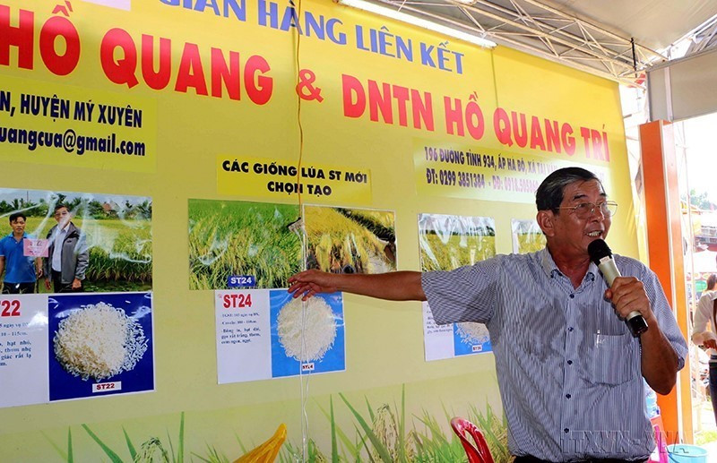 Với chiến lược về giống, các giống lúa chất lượng cao như ST 25 có thể cạnh tranh được với các giống lúa cao cấp của các quốc gia khác và ngày càng củng cố được chỗ đứng trên thị trường lúa gạo. Trong ảnh: Gạo ST24 do nhóm nhà khoa học của Sóc Trăng, đứng đầu là kỹ sư Hồ Quang Cua lai tạo, phát triển đã được công nhận là “Gạo ngon nhất thế giới 2019”. Đây là giống lúa cao sản có thể trồng 2 đến 3 vụ/năm. Gạo có hạt dài trắng, dẻo, có mùi thơm dứa được nhiều người tiêu dùng ưa chuộng. (Ảnh: Trung Hiếu/TTXVN)