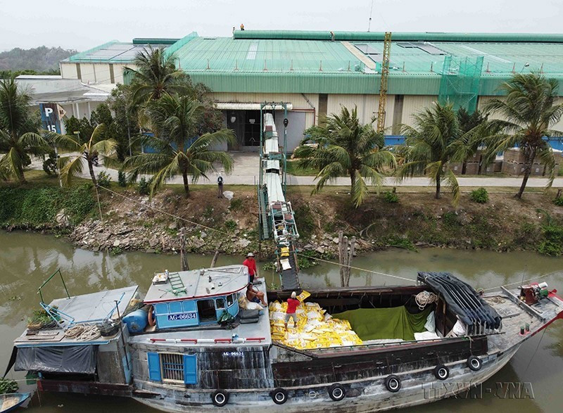 Để giúp cho doanh nghiệp ngành gạo tiếp tục phát triển bền vững, ngành nông nghiệp cần tổng kết, đánh giá tình hình để có cái nhìn và xu hướng chung, từ đó đưa ra chỉ đạo về hoạt động sản xuất sao cho ngày càng phù hợp hơn với xu hướng thị trường xuất khẩu. Trong ảnh: Tập đoàn Lộc Trời là doanh nghiệp tiên phong xây dựng chuỗi giá trị lúa gạo. (Ảnh: Vũ Sinh/TTXVN)